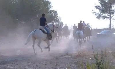 HOLA_VERANO_27